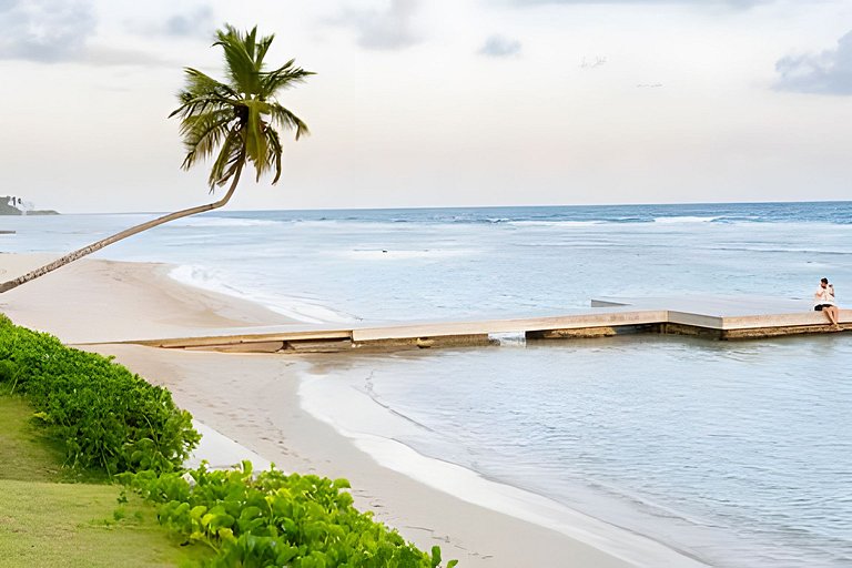 Caribbean Life Paradise,1BDRM & BBQ Beachfront Apt