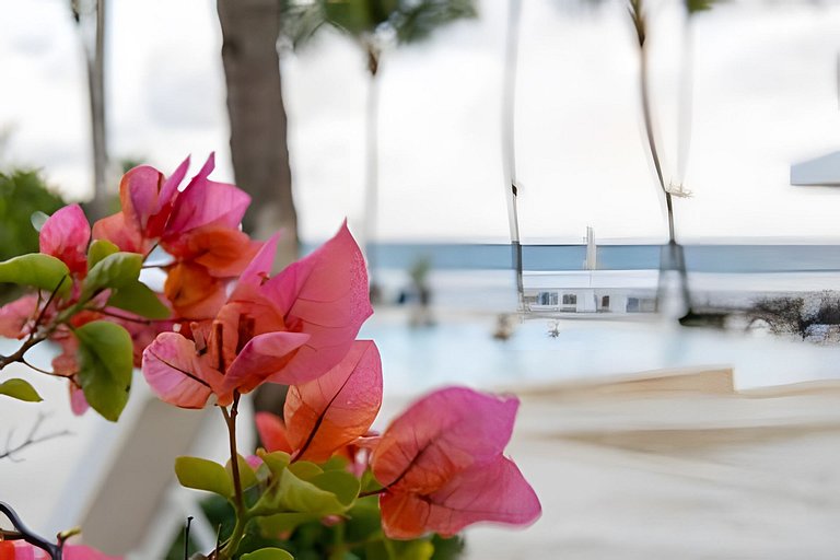 Caribbean Life Paradise,1BDRM & BBQ Beachfront Apt