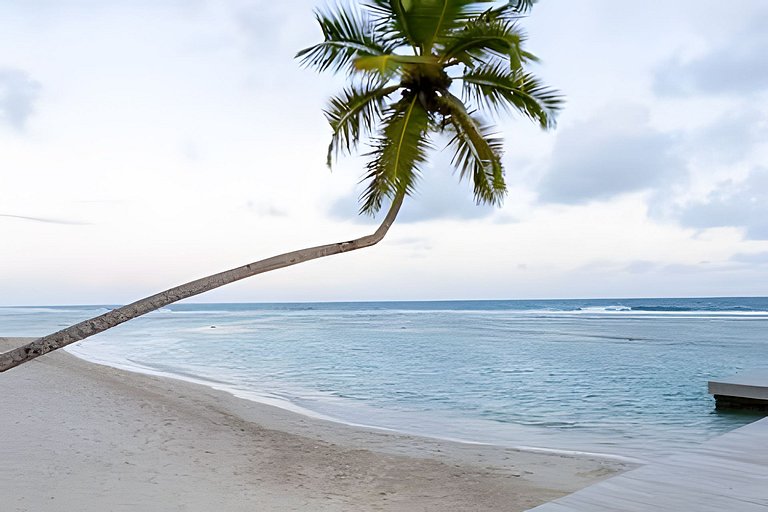 Caribbean Life Paradise,1BDRM & BBQ Beachfront Apt
