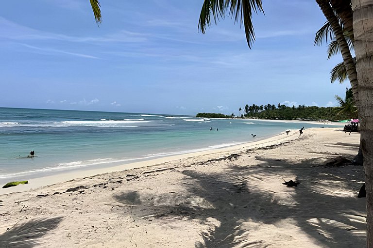 Beachside 1Bdrm Apt. Hidden Oasis with Pool & BBQ