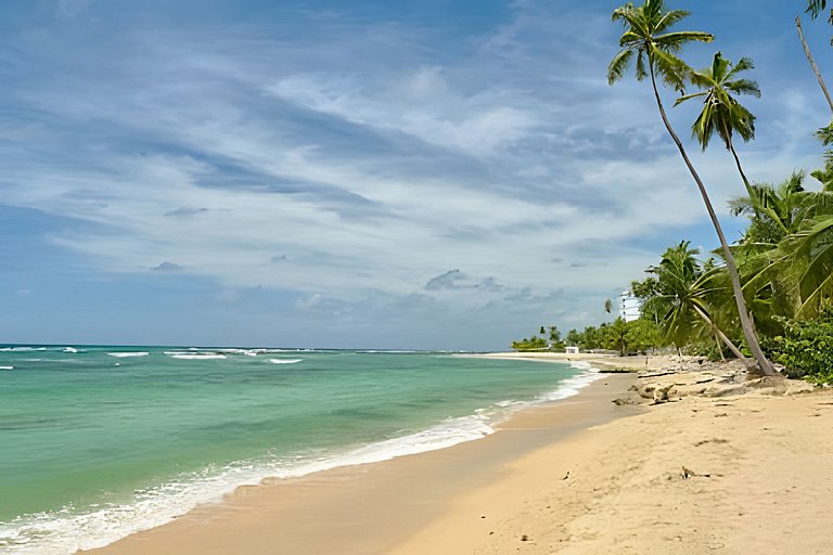 Costal View Apt. Walkable To Beach & Restaurants
