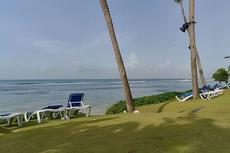Caribbean Ocean View, 2BDRM Beachfront Apartment