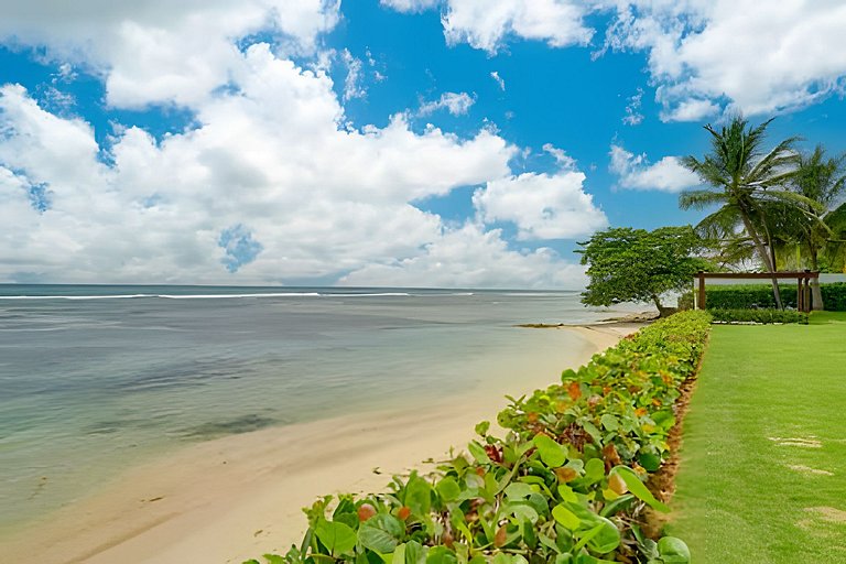 Caribbean Beachfront Living, Apartment